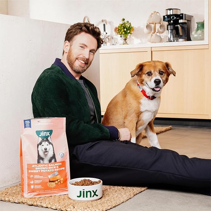 Jinx Premium Small Breed Dog Food Dry - Real Salmon & Sweet Potato Kibble with Superfoods for Immune Support & Probiotics for Digestive Support - No Fillers – 11.5lb