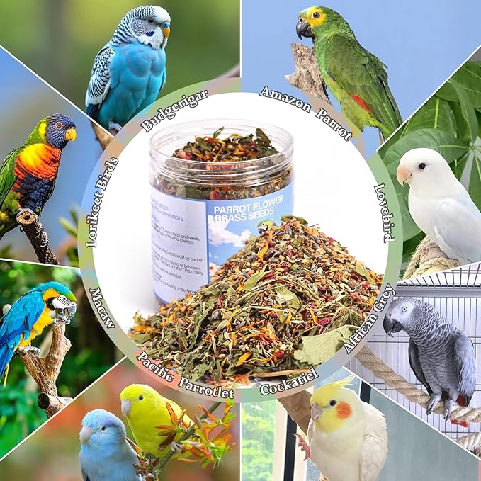 Abizoo Cockatiel & Conure Bird Foods Treats Seed Supplement for Love Birds Quaker Parrot Parakeets Digestive Health & Feather Support with Chia Flax Seeds Calendula Natural Comida para Pajaritos