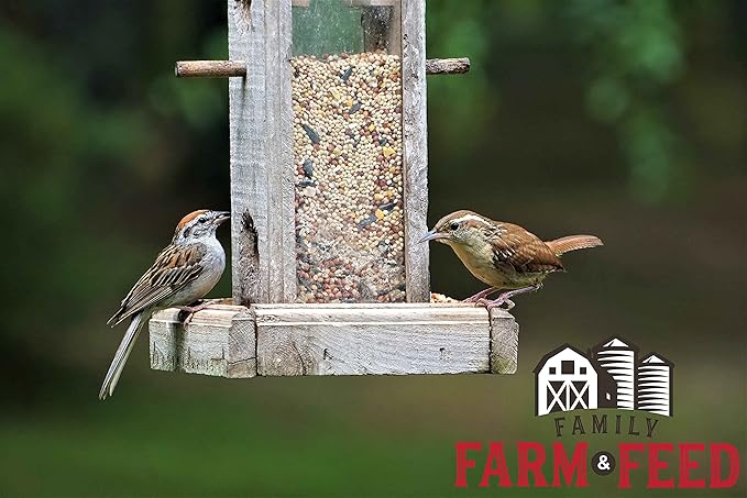 | Four Season | Country Mix | Classic Wild Bird Food | Backyard Songbird| 4 Pounds