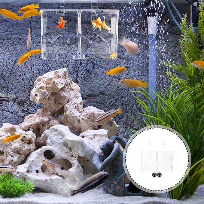 1pc Box Juvenile Hatching Box Hatching Incubator Fish Container Fish Breeding Case Fish Tank Hatchery Incubator Fish Tank Accessory Hatchery for