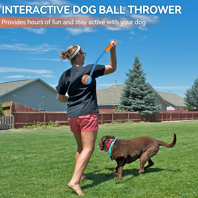 ALL FOR PAWS 19.3“ Dog Ball Launcher, Balls Thrower with Ergonomic Handle, Dog Fetch Toy with Medium Ball(2.5"), for Dogs 20-60 Pounds