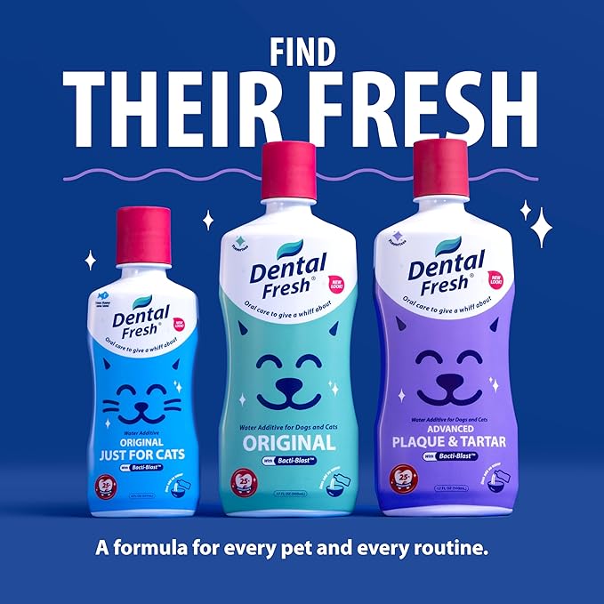 Dental Fresh Plaque & Tartar Control Water Additive for Dogs & Cats – Helps Support Clean Teeth, Healthy Gums & Fresh Breath – Advanced Formula Oral Care, 17 fl oz
