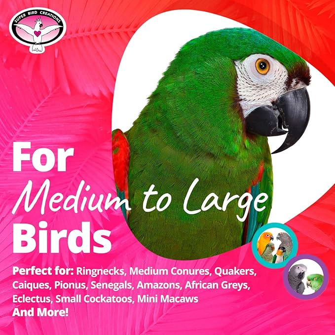 Super Bird Creations SB632 Foraging Bottom’s Up Bird Toy with Clear Acrylic Cups, Medium/Large Bird Size, 18” x 2.5”