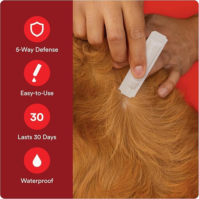 Advecta Ultra Flea and Tick Prevention for Dogs - Large Dog Flea and Tick Treatment & Control - Mosquito Repellent - Fast Acting Waterproof Topical Drops, 6 Month Supply