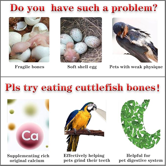 Bird Cuttlebone for Parakeets Cuttlebone for Birds - 103% Natural Cuttlefish Bone Bulk Chew Toy Bird Bites Calcium Stone for Canaries Tortoises,Snails,Reptiles,Parrots,Cockatiel