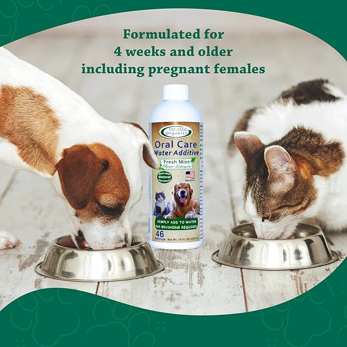 Oral Care Water Additive for Cats & Dogs – Gentle Dental Support – Reduces Breath Odors, Promotes Gum Health – No Brushing – Convenient for Daily Use, Fresh Mint Flavor, 16 FL oz