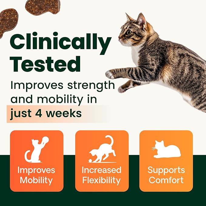 VetriScience Extra Strength Healthy Hip & Joint-Chews, GlycoFlex Glucosamine & Green-Lipped Mussel JointSupport Supplement, Promote Mobility & Soothe JointDiscomfort, Chicken,60 Count(Pack of 2)