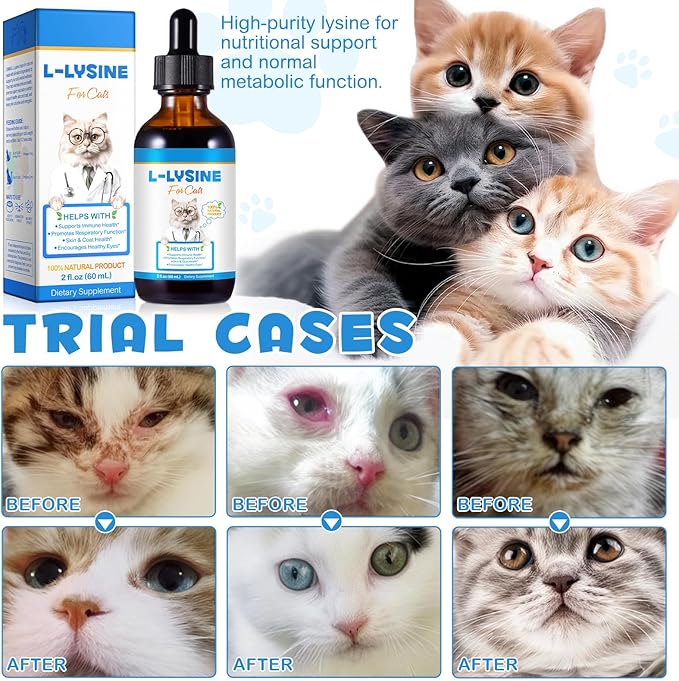 NIFEISHI L-Lysine Liquid Supplement for Cats - for Respiratory Health, Sneezing, Runny Nose & Eye Care - for Cats of All Ages, Easy-to-Use Liquid Drops, 60ml/2oz
