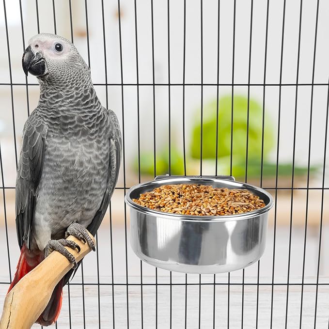 Hypeety Stainless Steel Bird Food Water Bowl Parrot Cage Accessories for Parakeet Bird Dog Cat Parrot Rabbit 2PCS (Large,5.5 * 2.3in)