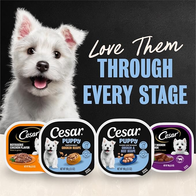 Cesar Puppy Classic Loaf in Sauce and Filets in Gravy Wet Dog Food Variety Pack, Chicken & Beef and Chicken Recipes, 3.5 oz. Easy Peel Trays, Dog Food Toppers, 12 Count (Pack of 2)