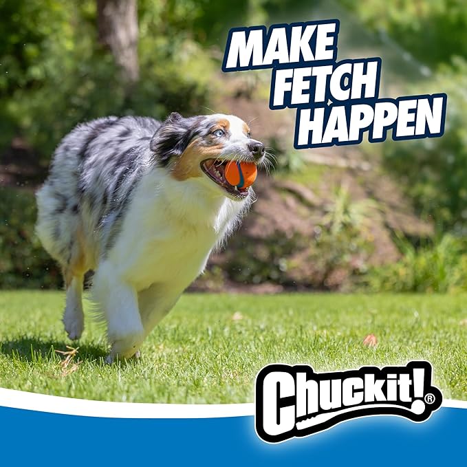 Chuckit! Ultra Ball Dog Toy - Medium Bouncy Fetch Balls for Dogs 20-60 lbs - Made from Durable Rubber - Floating Water Pet Toys - Size Medium - 2.5-inch Diameter -,2 Count (Pack of 3)