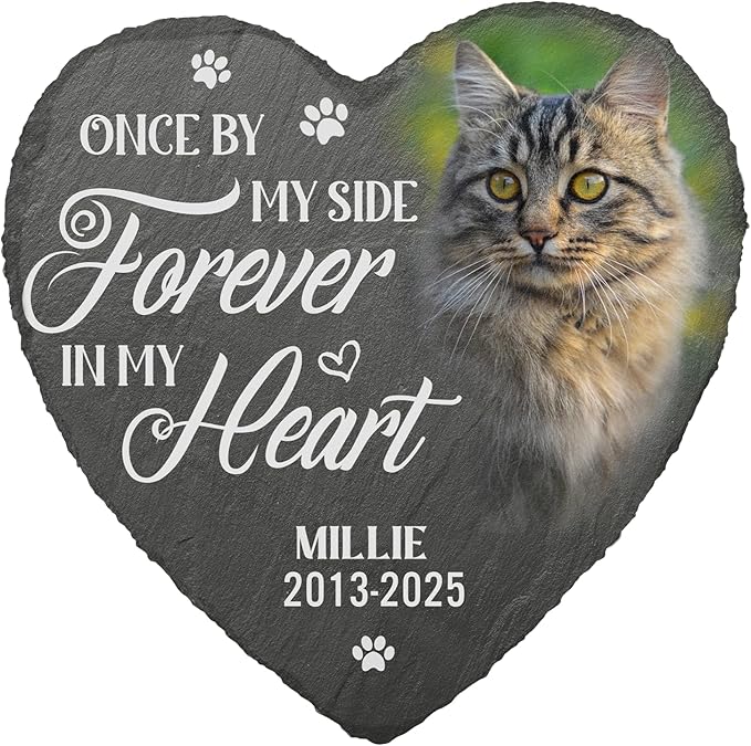 Pawfect House Personalized Cat Sympathy Gifts, Cemetery Decorations for Grave, Memorial Stone Gifts for Loss of Cat, Pet Memorial Stones for Pet Lovers