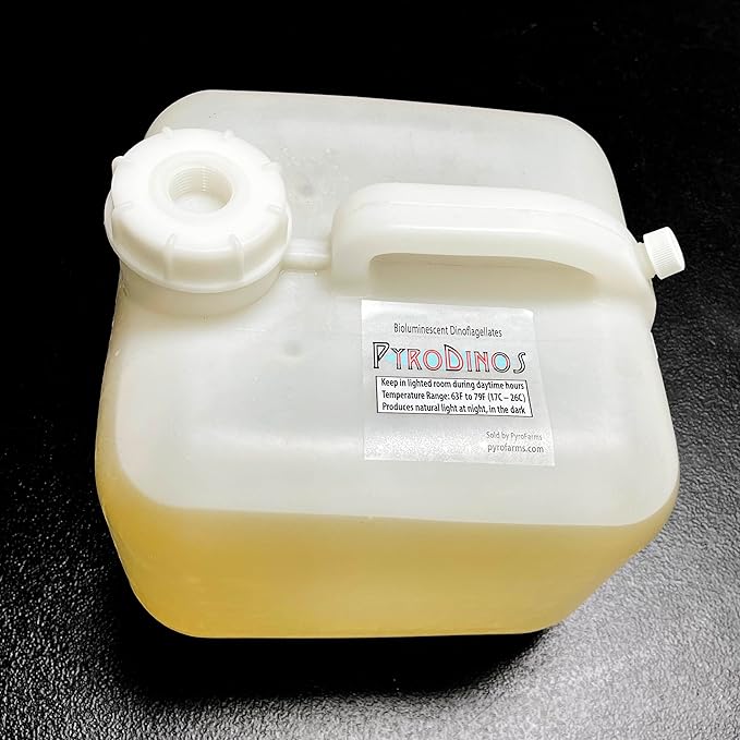 Glowing Wonders: PyroDinos Bioluminescent Ocean Plankton - 2.5 Gallons (10L)