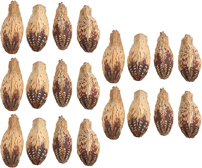 Parrot Chew Nuts, Natural Dried Nut Treats, 5 Bags - Boredom Relief, Mouth Sharpening, Home Decorative Pet Toy for Birds