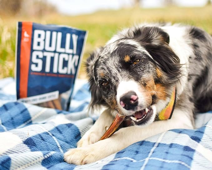 Wild Wolf 6-inch Angus Bully Sticks (8oz./~9-11 Sticks) Healthy, All-Natural, Long-Lasting Dog Chew Bones - Low Odor - Mixed Thickness - Lab-Tested, Hand-Inspected and Packed with Love in The USA