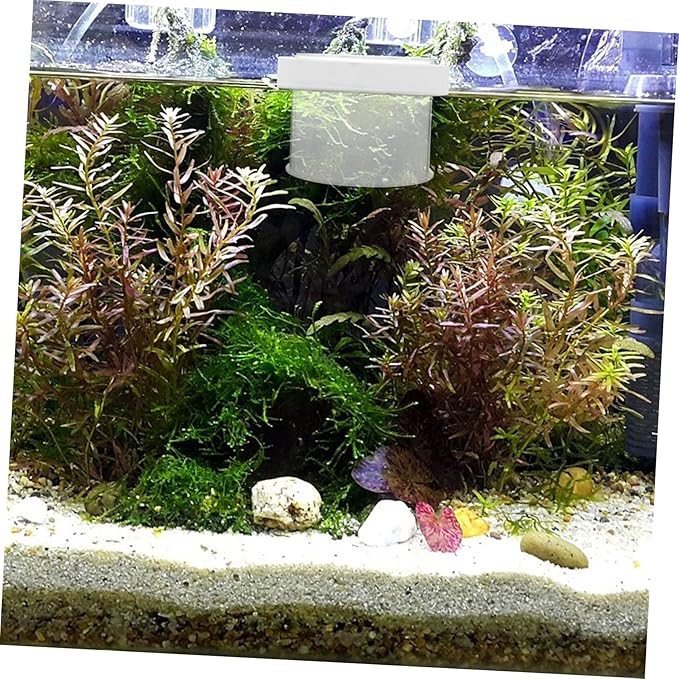 Happyyami Floating Fish Separator Box for Tank Guppy Breeding Box Removable Cover Acrylic Specimen Containers