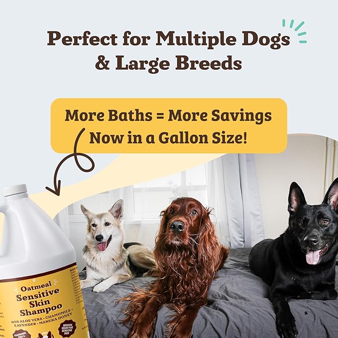 Natural Dog Company Sensitive Skin Dog Shampoo Gallon – 128 oz Oatmeal Hypoallergenic Formula with Aloe, Manuka Honey & Chamomile – Soothes Itchy, Dry, Flaky Skin – Groomer & Multi-Dog Household Size