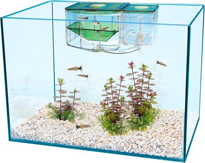 Penn-Plax AN2 Aqua Nursery and Hatchery Breeding Box for Your Aquarium - Help Protect Baby Fish from Predators