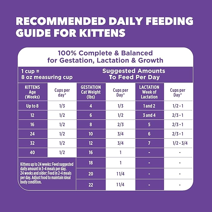 IAMS Proactive Health Kitten Dry Cat Food, Healthy Kitten Food Dry Recipe with Real Chicken in Every Bite, 3.5 Lb. Bag