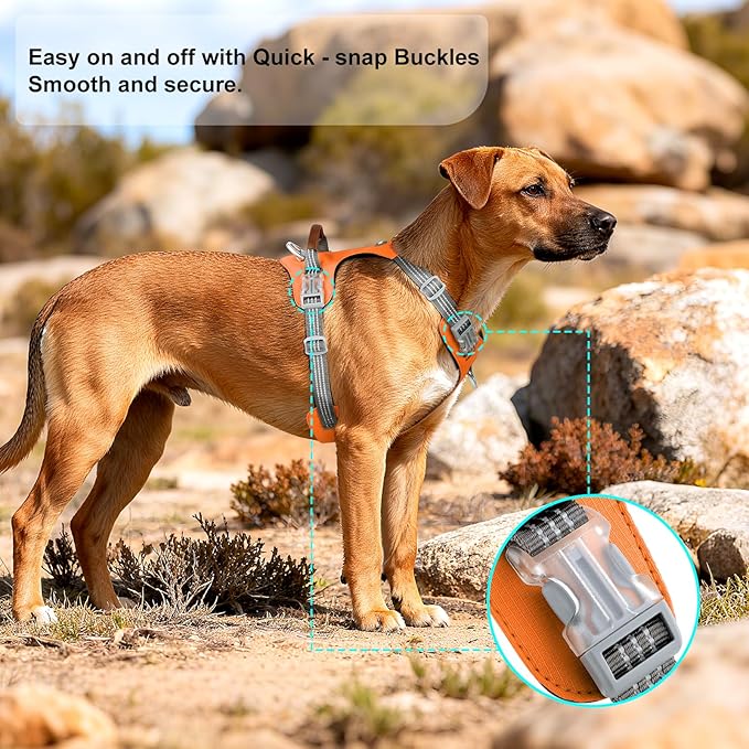 No Pull Dog Harness – Adjustable Reflective Nylon Vest for Small Medium Large Dogs, Escape Proof Training Harness with Leather Control Handle, Lightweight Aluminum Hardware (Orange, XL)