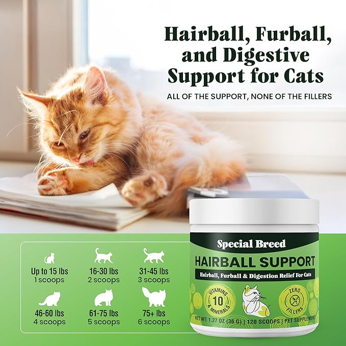 Special Breed Hairball Support for Cats - 10 Super Ingredients for Hairball Relief, Digestive Support & Healthy Skin - No Fillers - Psyllium, Pumpkin, Omega-3s & More - 120 Scoops