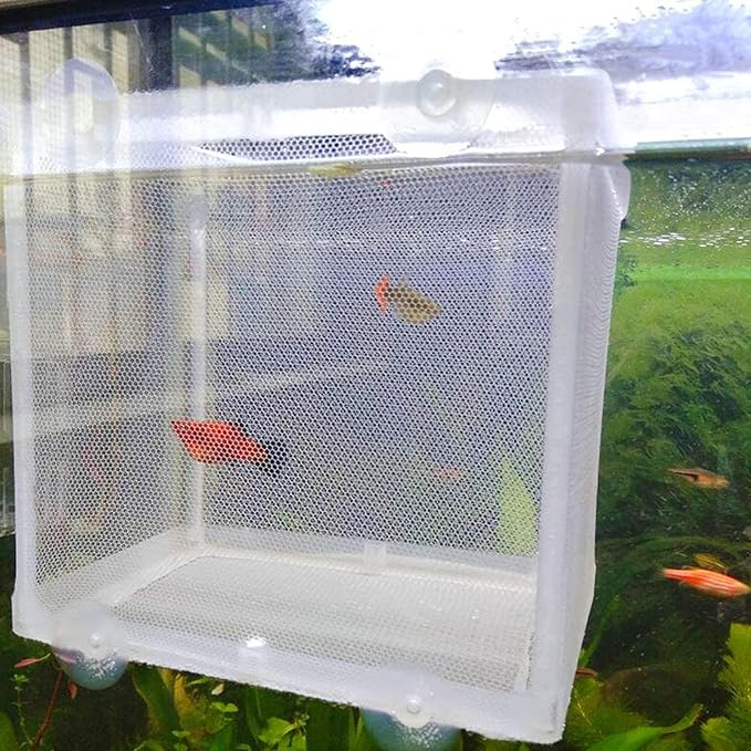 Still Awake Aquarium Fish Breeder Box, Fish Isolation Box, Hatching Box, Juvenile Fish Spawning Incubator, Water Isolation Net Hatcher, Nylon Mesh Fish Fry Hatchery Separation Net（White S）
