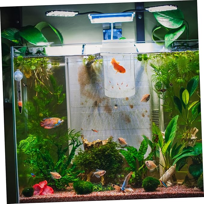 Kisangel 1 Set Fish Breeding Box: Guppy Breeder Box - Floating Isolation Hatchery Incubator for Guppy Betta Shrimp - Transparent Fish Tank Divider