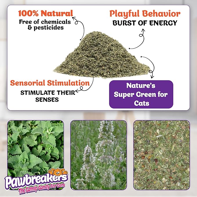Pawbreakers® Funnip™ – Premium Catnip Treats for Cats & Kittens | Catnip Cat Treats, Fill These Catnips in Toys for Cat, Cats Snacks| No-Stick Fine Grind Catnips - Made in USA