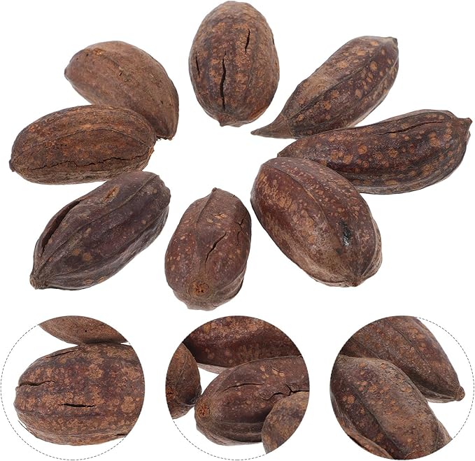 8pcs Natural Dried Fruit Bird Chew for Parakeet Cockatiel Birds Safe Biting Treats for Shredding and Foraging Fun
