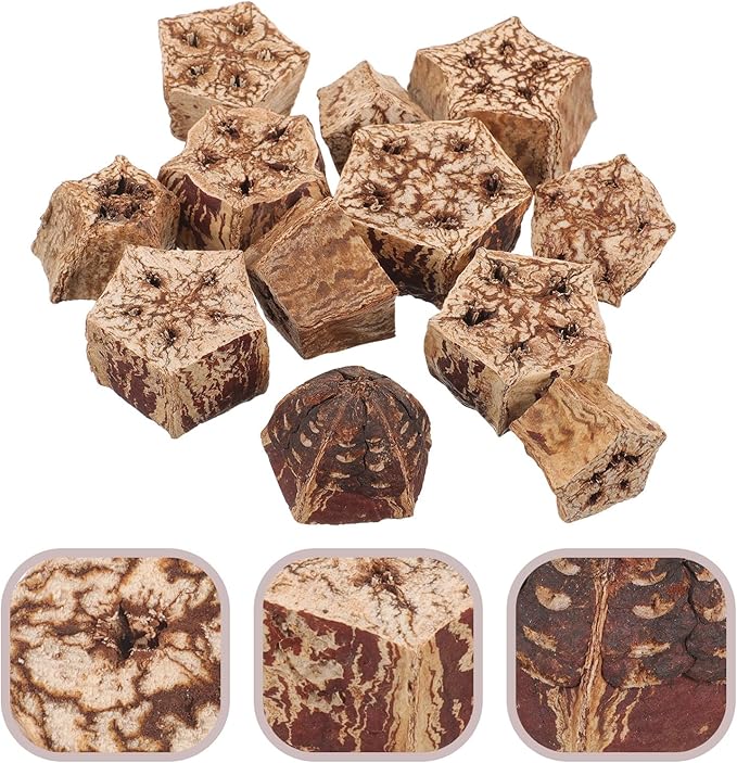 POPETPOP Parrot Foraging and Bird Shredding Natural Chewing Blocks 12Pcs Healthy Wooden Chew Treats for Parakeets and Small Birds Cage Accessories