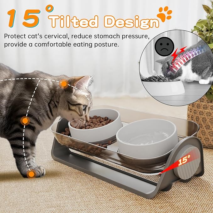 Oneluck Elevated Cat Bowl, Raised Ceramic Dish, 100% Waterproof Cat and Dog Bowls, 15° Tilted Raised Stand Slip Resistant Raised Edges, Catch Water, Food Mess, No Spills
