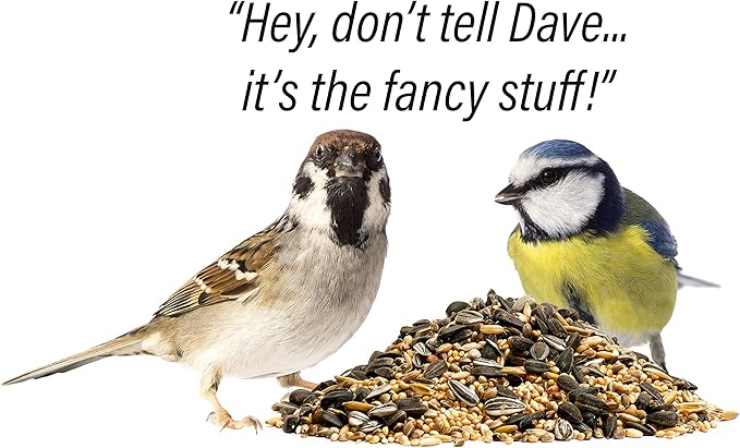 | Four Season | City Blend | Fancy Wild Bird Food | Backyard Songbird| 4 Pounds