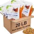 BSF Larvae 85X Calcium Than Dried Meal Worms 20LB(5lbx4) for Chicken Feed - Bulk Black Soldier Fly Larvae Poultry Treats - BSF Grubs Non-GMO Food High Protein Meal Worms for Hens,Wild Bird