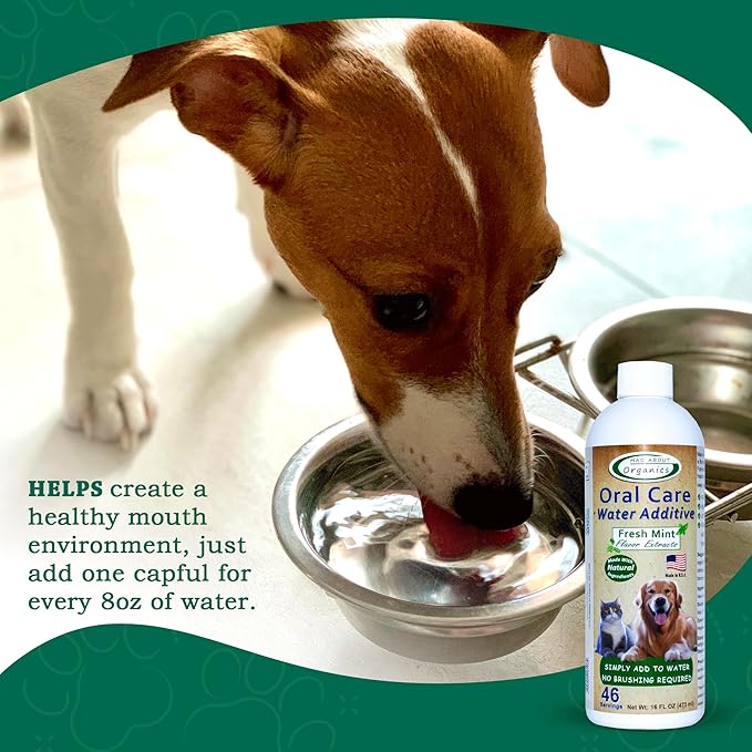 Oral Care Water Additive for Cats & Dogs – Gentle Dental Support – Reduces Breath Odors, Promotes Gum Health – No Brushing – Convenient for Daily Use, Fresh Mint Flavor, 16 FL oz