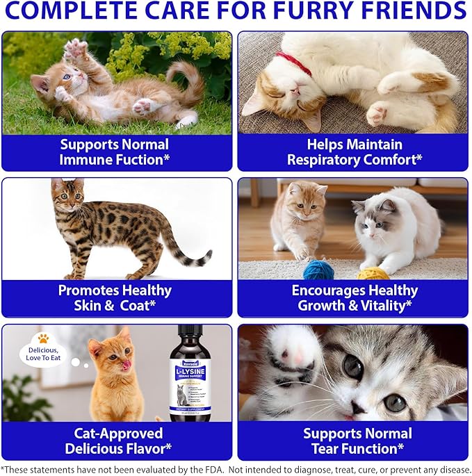 Lysine for Cats, L-Lysine Supplement Liquid Drops for Cats Supports Immune & Respiratory Health,Helps with Sneezing, Eye Discharge and Watery Eyes