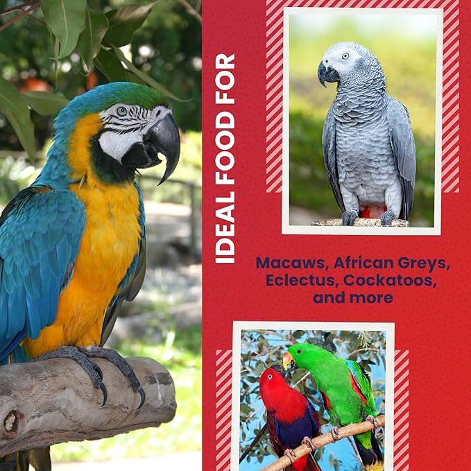 ABBA 3500 Wholesome Parrot Food, Seed Mix, Nuts, Fruits, Veggies, Vitamins - 5 lbs