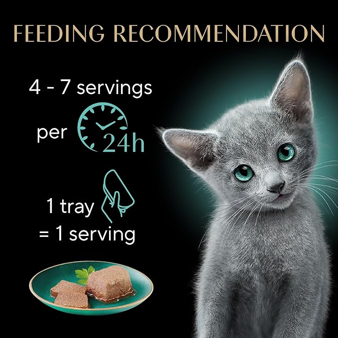 Sheba Perfect Portions Kitten Wet Food,Pate Cat Food Wet Entree,Chicken Recipe and Salmon Recipe,2.6 oz. -Pack Trays (,24 Servings),12 Count (Pack of 4)