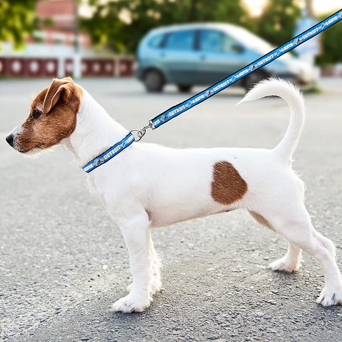 Pets First NFL Licensed Detroits Lions Pet Leash, Size Large – Durable Satin Dog & Cat Walking Strap and Pet Tether with Embroidered Team Name & Logo