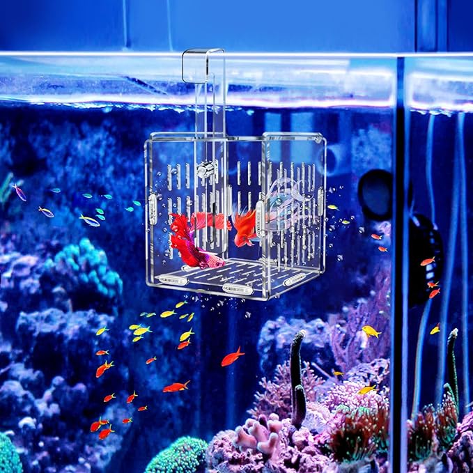 Breeder Box for Fish Tank, Fish Breeder Box for Aquarium, Acrylic Fish Isolation Box, Fish Separator for Small Baby Fishes, Bully Fish, Shrimp, Clownfish Guppy (NOT for Incubator)