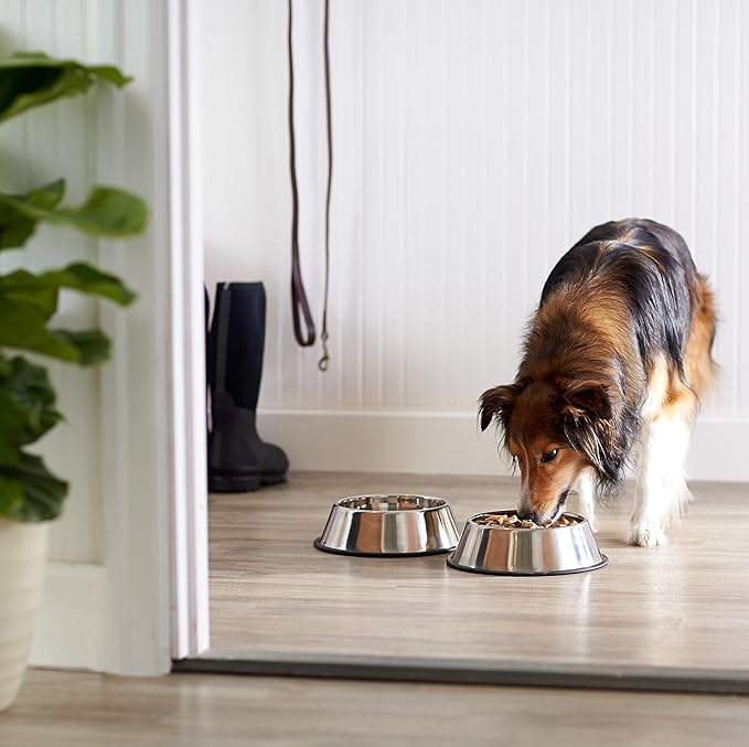 Amazon Basics Stainless Steel Non-Skid Pet Dog Water And Food Bowl, 2-Pack (10 x 2.8 Inches), Each Holds Up to 38oz