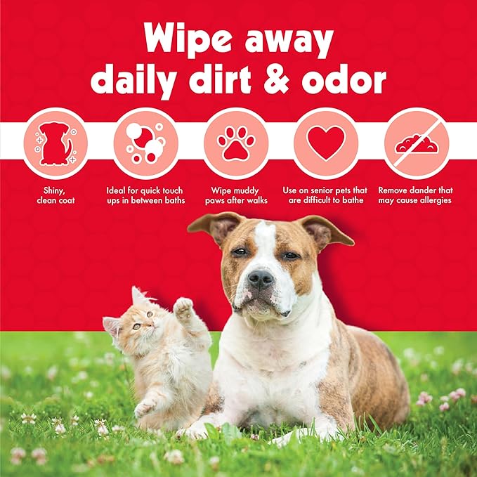 Petkin Pet Wipes for Dogs & Cats - 200 Large Wipes - Removes Dirt & Odor - Cleans Ears, Face, Butt, Eye Area - Convenient for Home or Travel - 2 Packs