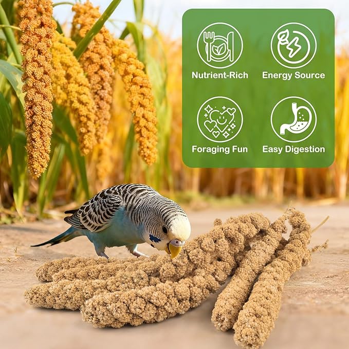 ERKOON 5LB Spray Millet Treat, All Natural Sun-Dried Healthy Treat Parrot Food Bird Snack for Parakeets, Lovebirds, Cockatiels, Finches, Budgies, Canaries Hamster, Bird Food Bulk