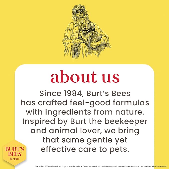 Burt's Bees for Pets Tearless Kitten Shampoo with Buttermilk and Honey, Gentle Cat Shampoo for Itchy Skin and Sensitive Coats, Easy Rinse Low Lather Formula, 99.3% Natural Origin, 10 Fl Oz - 6 Pack