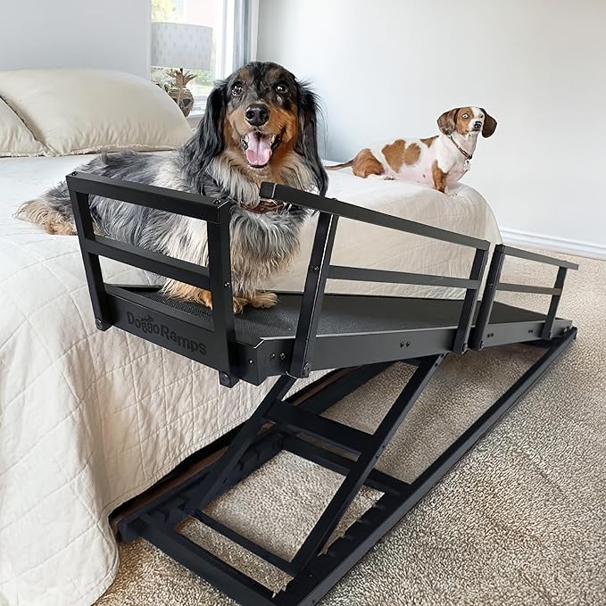 DoggoRamps Dog Ramp for Beds - Solid Hardwood with 5 Finish Options - Adjustable up to 37" High Beds with Low Incline, Safety Rails & Anti-Slip Grip, For Small Dogs up to 50lbs - Made in North America