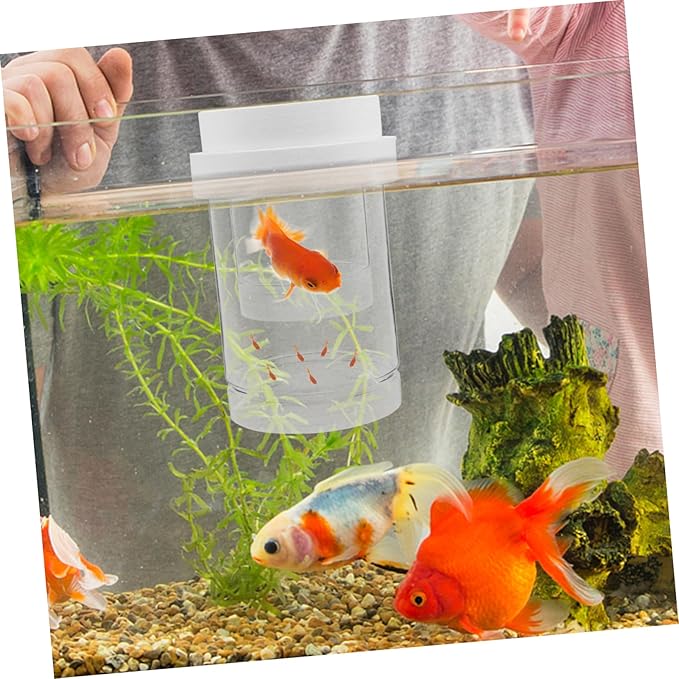 1 Set Floating Fish Breeding Box Transparent Isolation Incubator for Guppy Betta Shrimp Secure Fry Environment with Automatic Water Level for Aquariums