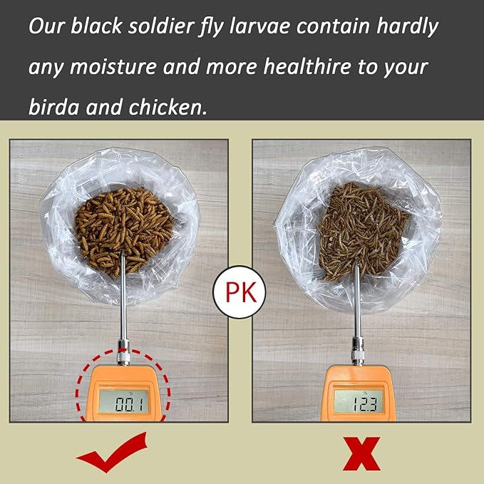 Black Soldier Fly Larvaeis,6LB 100% Natural Large Size No Moisture,Mealworm for Birds Chickens Hedgehog Hamster Fish Reptile Turtles