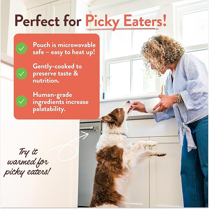Portland Pet Food Company Fresh Dog Food Pouches - Human-Grade Toppers Wet Pet Meal & Mixers - Gluten-Free Limited Ingredient Tuxedo’s Chicken & Yams - Large & Small Breed Puppy & Senior Dogs - 5 Pack