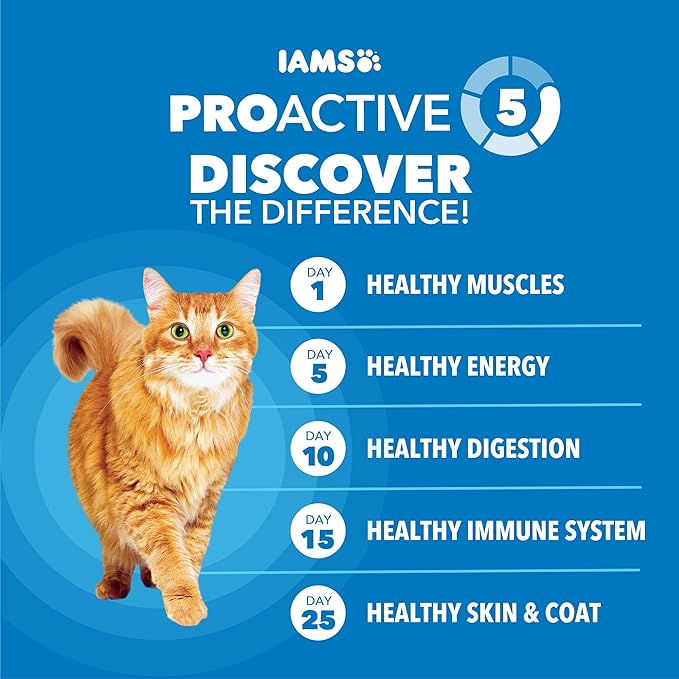 IAMS Proactive Health Healthy Weight Adult Dry Cat Food Chicken Flavor, Adult Cat Food Dry Recipe, 3.5 lb. Bag