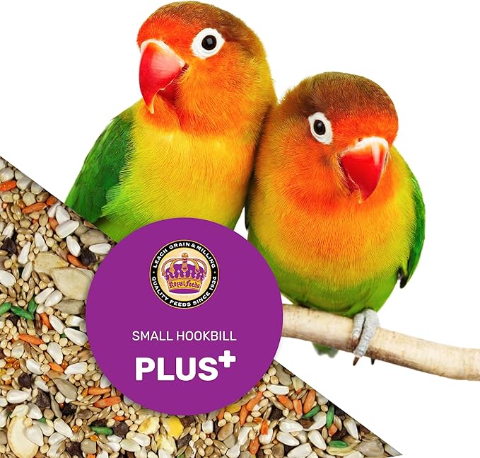 Small Hookbill Plus 25 lbs, Bird Food for Small Hookbill, Premium Bird Seeds, Supports Growth Energy and Digestive Health, Nutrient-Rich Parrot Birdseeds with Vitamins & Minerals