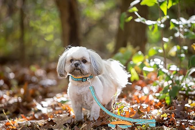 Pets First NFL Licensed Miami Dolphins 𝙿et Leash, Size Large – Durable Satin Dog & Cat Walking Strap and Pet Tether with Embroidered Team Name & Logo